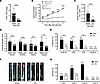 Orchiectomy protects mice from Aldo-salt–induced aortic dilation, progressi