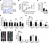 Inhibition of IL-6 signaling by LMT-28 ameliorates Aldo-salt–induced AAs.