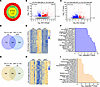 Profiling of aortic transcriptomes reveals TCR signaling as a link between