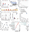 ERG binds to pericentromeric regions and activates HSAT2,3 expression and D