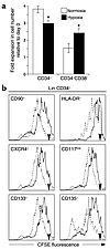 Expansion and division history of BM cells after 4 days in culture in hypox