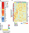 Bioinformatic analysis predicts that G3 MB will respond to triptolide.