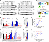 Differential Gβγ binding induced by GNAO1 mutations.