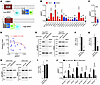 GPCR-coupling effects of GNAO1 mutations.