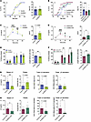 Characterization of reproductive phenotype of G-KiR-KO female mice.