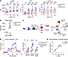 Induced CD8α expression is associated with metabolic activity in NK cells.