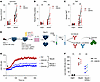 CD8A KO enhances cytokine secretion and degranulation following NKp30 stimu