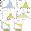 Incidence of nAMD and frequency of anti-VEGF injections are reduced in PD p