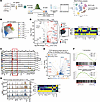 scRNA-Seq reveals heterogeneity in naive CD4+ T cells, highlighting a subse