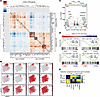 T.N4Nr4a1 cells segregate into 2 distinct TCR signaling modules that segreg