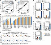 SKG CD4+ T cells harbor a biased TCR Vβ gene repertoire.