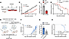 Arthritis pathogenicity partially localizes to Sag-reactive SKG T cells.