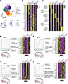 Phenotypic heterogeneity of MCs is marked by expression of distinct transcr