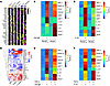 TGF-β selectively reshapes MC proinflammatory cytokine, chemokine, and grow