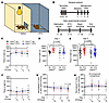 CalcrliLEC mice treated with NTG exhibit ameliorated light avoidance and an