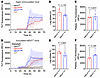 Prion seeding activity in spontaneously ill and inoculated bank vole PrP–kn