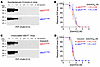 Conformational characterization of spontaneously formed and transmitted pri