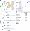 PIK3CA gain-of-function mutation in podocytes is associated with changes in