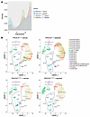 Alpelisib modifies podocyte cell fate determination in PIK3CAPod-HET mice.