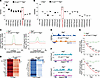 Alterations in H4K8ac and H3K27me3 in gene regulations of endothelial and m