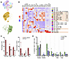 Prospective analysis by scRNA-Seq plus CITE-Seq reveals differential T cell