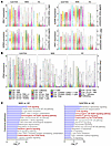 Multiple T cell subsets, including skin TRM, may be functional in SJS/TEN a