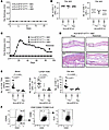 Drug-specific skin TRMs are generated in mouse skin after disease resolutio