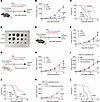 Comparing the antitumoral effects of replicating versus non-replicating vir