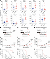 Confirmatory mechanistic studies corroborate a role for IFN-I.