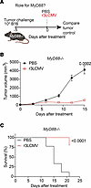 r3LCMV therapy improves tumor control in MyD88–/– mice.