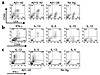 Activated Aβ-reactive T cells exhibit Th1, Th2, and Th0 phenotypes after st