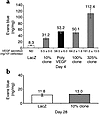 Plasma leakage correlates with the total amount of VEGF produced and is tra