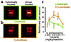 Images of axial sections obtained with PET, showing DA D2 receptors in nonh