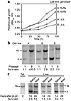 Analyzing the effect of Icmt inactivation on cell growth. (a) Anchorage-dep