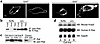 Mislocalization and increased steady-state levels of K-Ras in Icmt-deficien