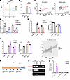 rs2276868 regulates the expression of RPL14.