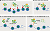 An emerging inhibitor class indirectly targets EZH2 activity via the PRC2 s