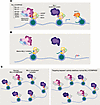 Noncatalytic inhibitors evict MLL1 and its oncofusion partners from chromat