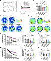 APP-K612la ameliorated synaptic and memory impairments in vivo.