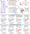 APP-K612la regulated transcription associated with APP metabolism in hippoc