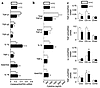 Local cytokine analysis in joints and purified leukocyte synovial cells fro