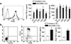 CD69 engagement induces TGF-β1 secretion in mouse splenocytes and synovial