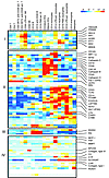 Overlapping gene expression profiles between a peripheral blood cell