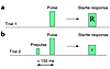 Diagrammatic representation of PPI. (a) Presentation of a strong stimulus,