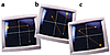 An illustration of pattern-trial rules used in a PL test. The asterisk-like