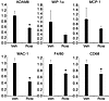 The expression of ADAM8, MIP-1α, MCP-1, MAC-1, F4/80, and CD68 in ob/ob WAT