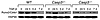 Runx2/Cbfa1 expression in preosteoblasts by Western blot analysis. Caspase-