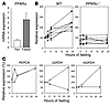 Oligonucleotide microarray analysis identifies novel putative PPARα target