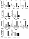 PPARα upregulates the expression of numerous genes involved in the conversi