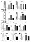 PPARγ and PPARβ/δ agonists induce cGPDH gene expression in adipocytes. (A)